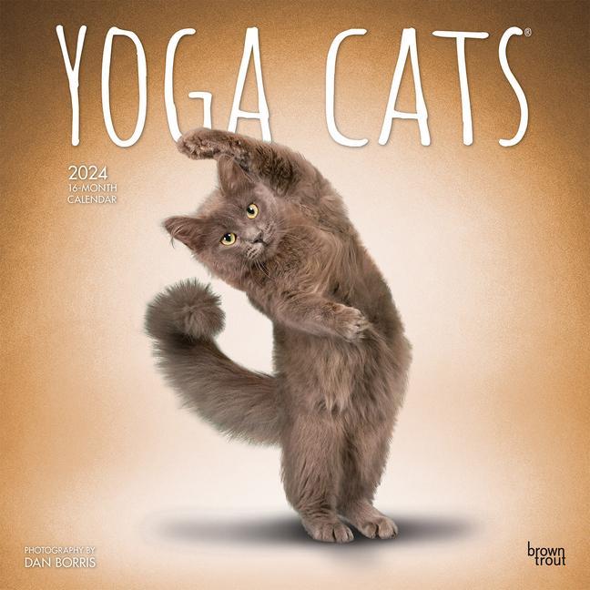 Kalendár/Diár Yoga Cats 2024 Square 