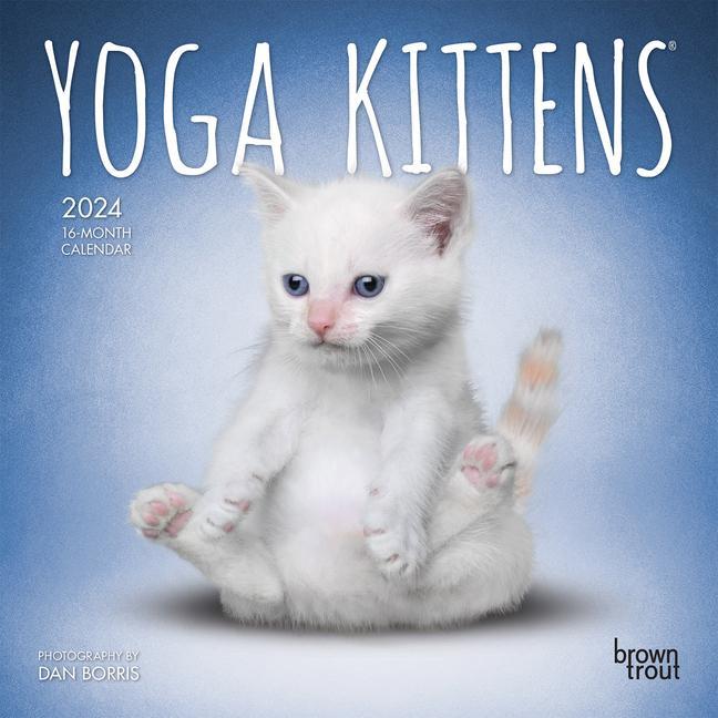 Carte Yoga Kittens 2024 Mini 7x7 