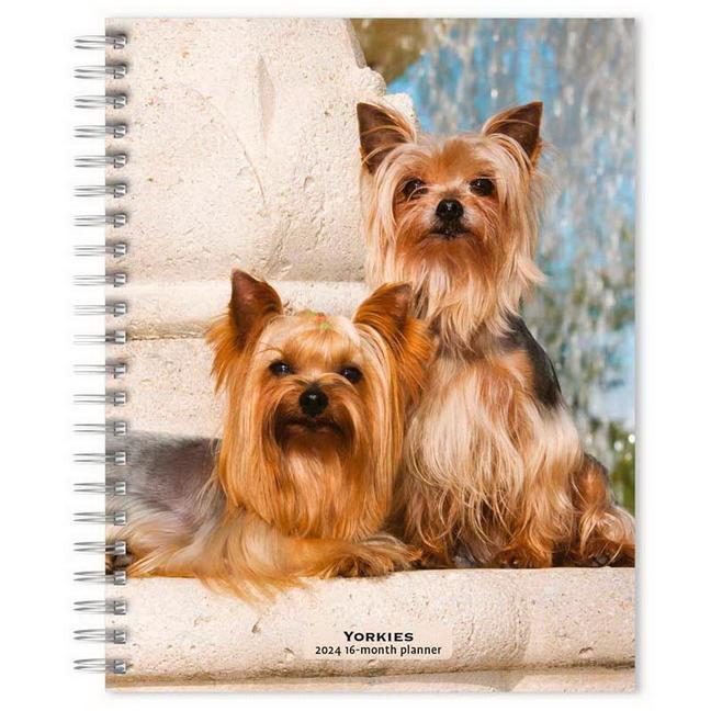 Kalendár/Diár Yorkshire Terriers 2024 Engagement 