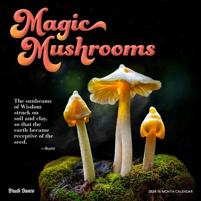 Naptár/Határidőnapló Magic Mushrooms 2024 Square Brush Dance 