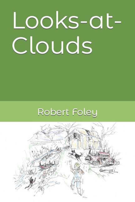 Buch Looks-at-Clouds Robert Foley