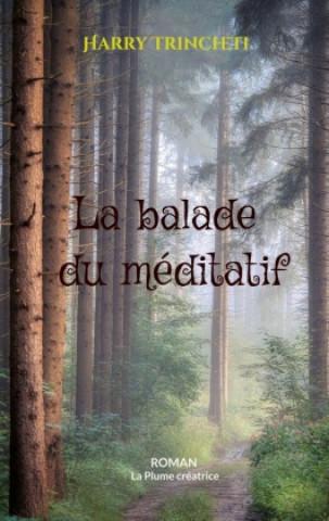 Knjiga La balade du méditatif Harry Trincheti