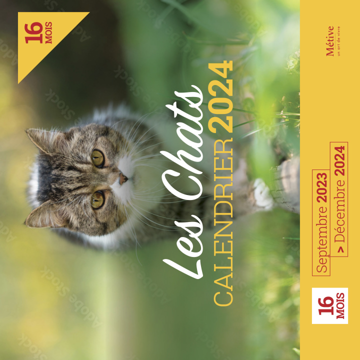 Kniha Calendrier des chats 2024 
