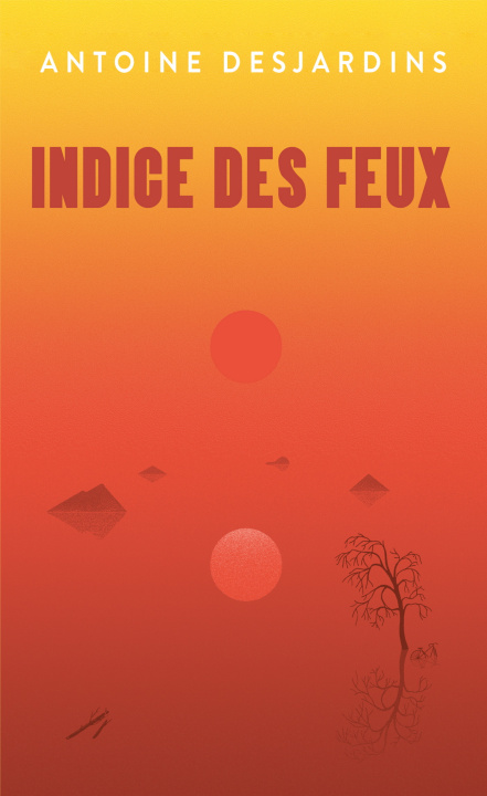 Kniha Indice des feux DESJARDINS