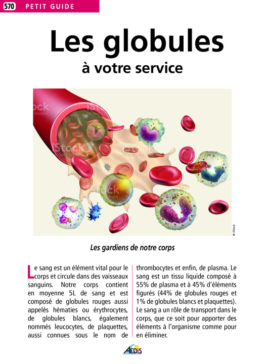 Carte LES GLOBULES A VOTRE SERVICE 