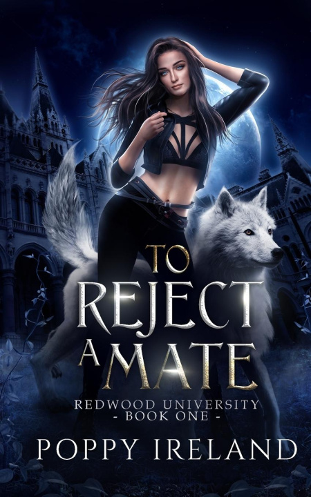 Book To Reject a Mate: A Fated Mates Shifter Romance 