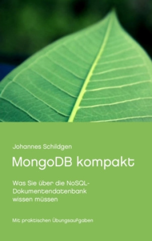 Knjiga MongoDB kompakt 