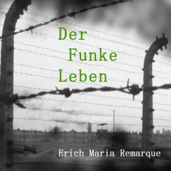 Audio Der Funke Leben, Audio-CD, MP3 Erich Maria Remarque
