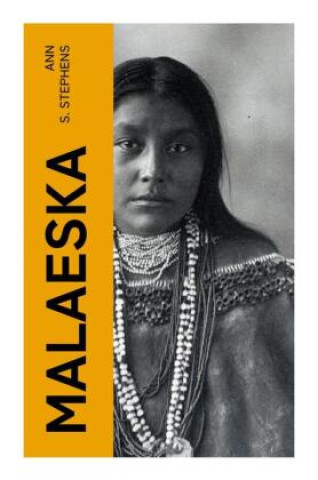 Book Malaeska Ann S. Stephens