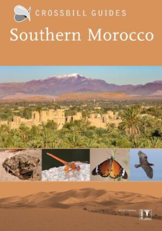 Książka Southern Morocco 