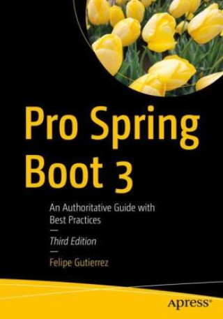 Kniha Pro Spring Boot 3 Felipe Gutierrez