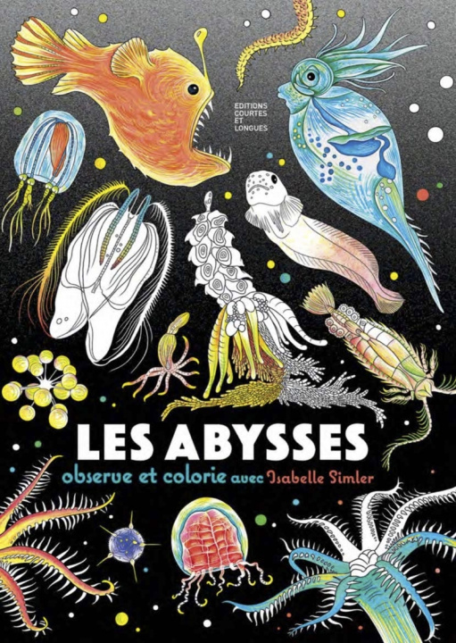 Kniha Les Abysses Isabelle SIMLER