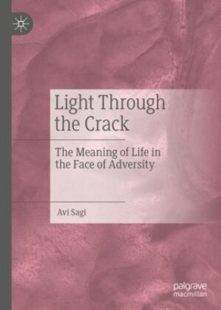 Book Light Through the Crack Avi Sagi