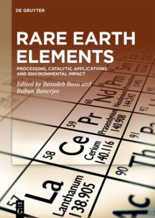 Kniha Rare Earth Elements Basudeb Basu