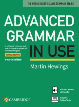 Kniha Advanced Grammar in Use 