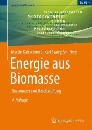 Книга Energie aus Biomasse Martin Kaltschmitt