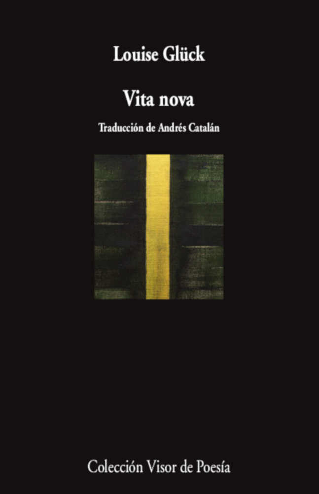 Buch VITA NOVA GLÜCK