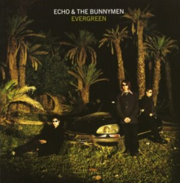 Zvok Evergreen (Standard Edition) Echo & the Bunnymen