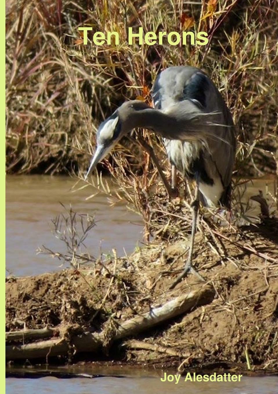 Knjiga Ten Herons Joy Alesdatter