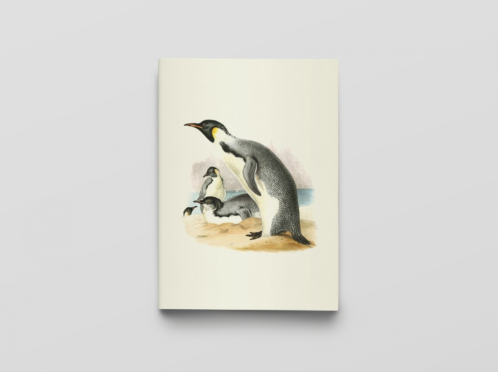 Boek Carnet Notes & Lecture BnF- Erebus et Terror en Antarctique 