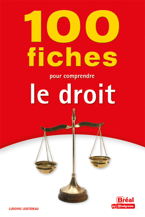 Könyv 100 fiches pour comprendre le droit Lestideau