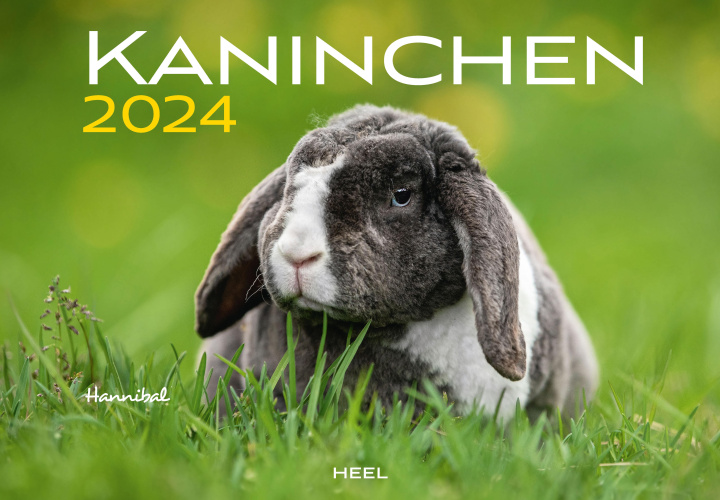 Kalendár/Diár Kaninchen Kalender 2024 