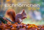 Naptár/Határidőnapló Eichhörnchen Kalender 2024 