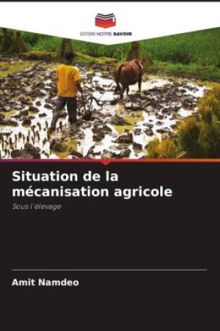 Kniha Situation de la mécanisation agricole Amit Namdeo