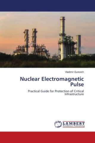 Libro Nuclear Electromagnetic Pulse Vladimir Gurevich