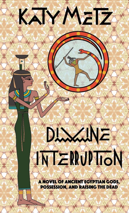 Knjiga Divine Interruption Katy Metz