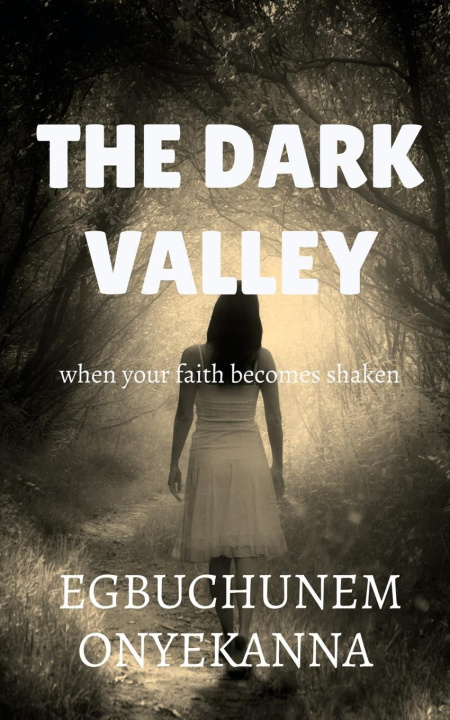 Libro THE DARK VALLEY 