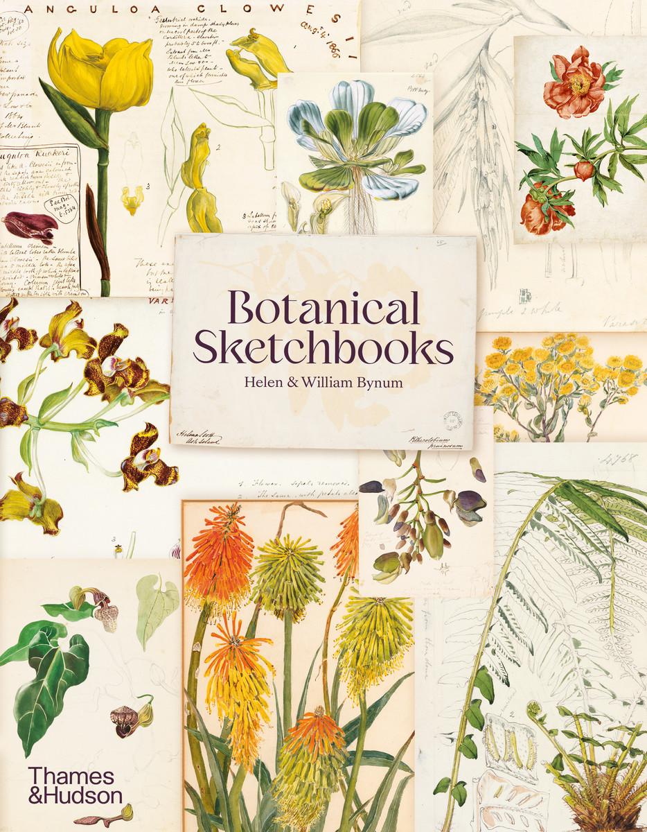 Kniha Botanical Sketchbooks Helen Bynum
