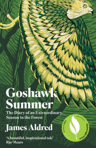 Kniha Goshawk Summer James Aldred