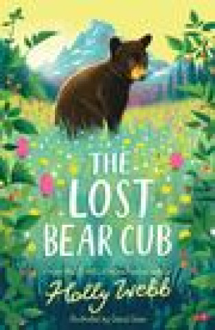 Könyv Lost Bear Cub Holly Webb
