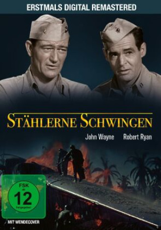 Videoclip Stählerne Schwingen, 1 DVD Nicholas Ray