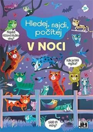 Książka Hledej, najdi, počítej V noci 