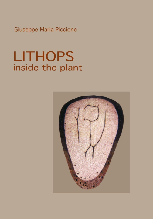 Carte Lithops inside the plant 