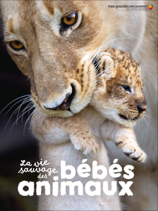 Kniha La vie sauvage des bébés animaux 
