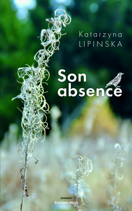 Kniha Son absence Lipinska