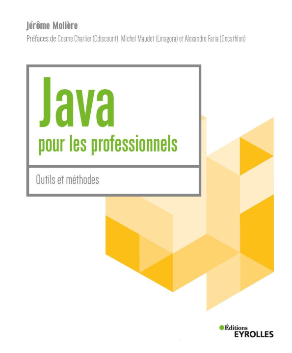 Kniha Java pour les professionnels Moliere