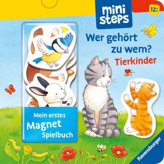 Kniha ministeps: Mein erstes Magnetbuch: Wer gehört zu wem? Tierkinder Sandra Grimm