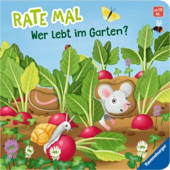 Kniha Rate mal: Wer lebt im Garten? Bernd Penners