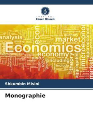 Book Monographie Shkumbin Misini