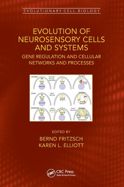 Книга Evolution of Neurosensory Cells and Systems Bernd Fritzsch