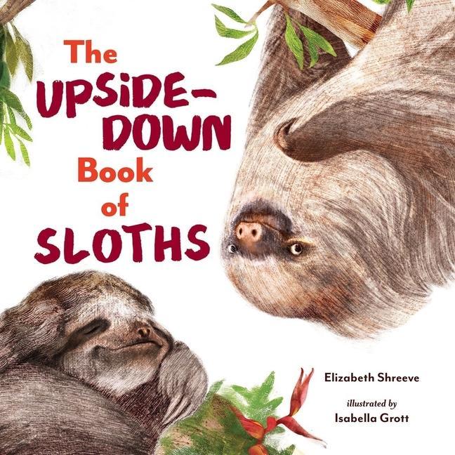 Книга The Upside-Down Book of Sloths Isabella Grott