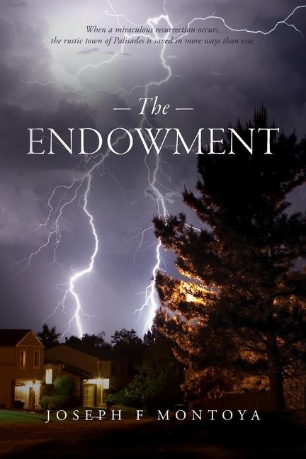 Книга The Endowment Joseph F Montoya