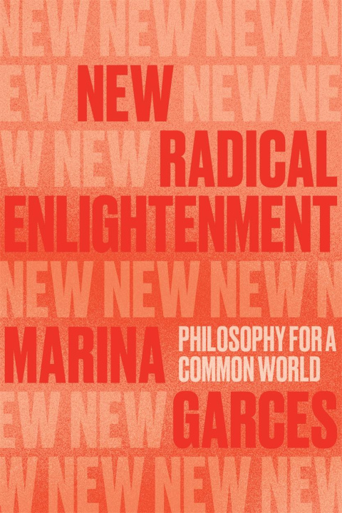 Książka New Radical Enlightenment: Philosophy for a Common World 