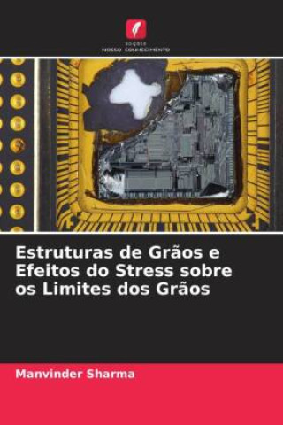 Kniha Estruturas de Gr?os e Efeitos do Stress sobre os Limites dos Gr?os 