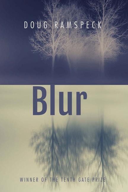 Boek Blur 