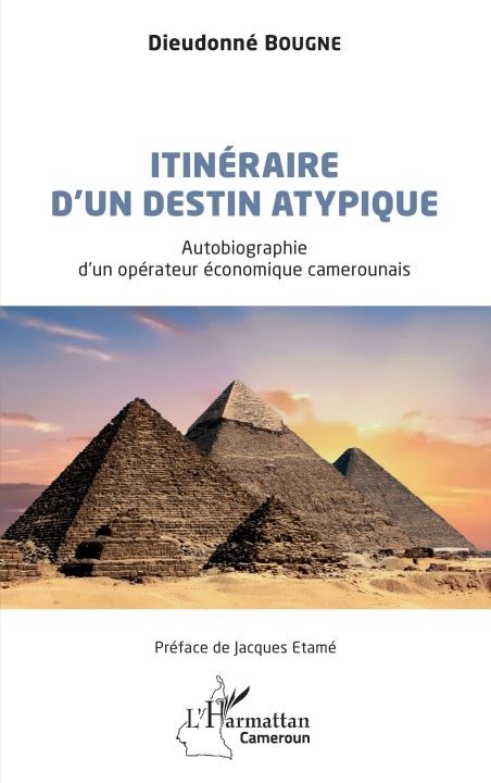 Boek Itinéraire d'un destin atypique Bougne